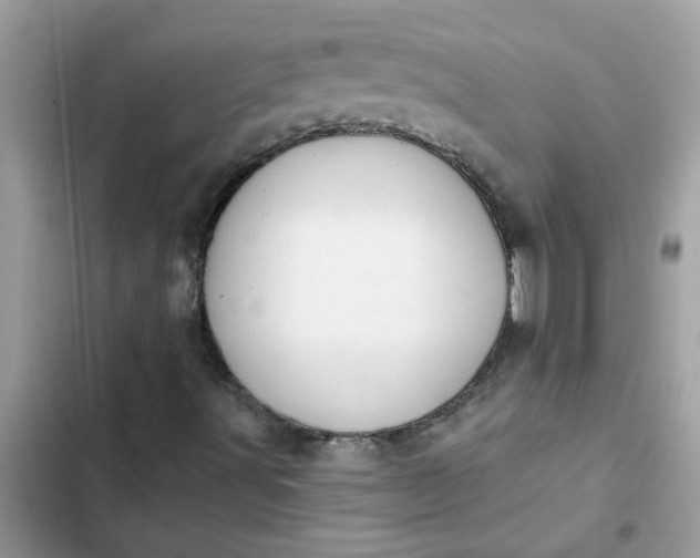 X0000102351491200808151738