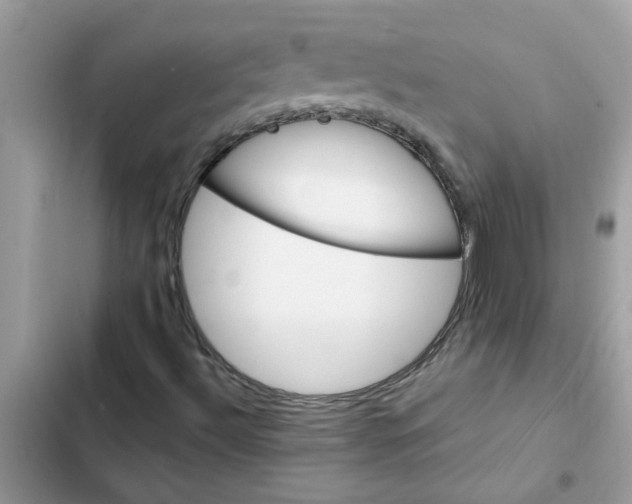 X0000102351492200808151738