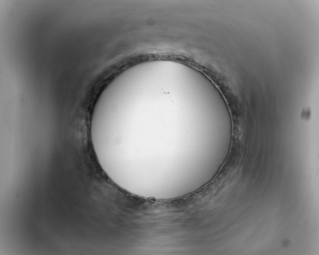 X0000102351493200808151738