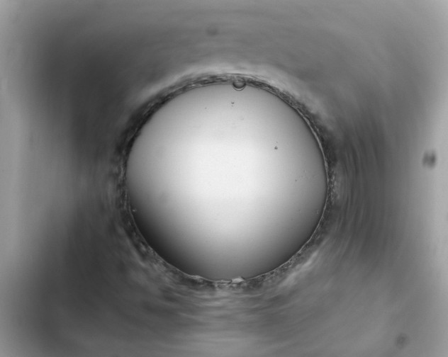 X0000102351494200808151738