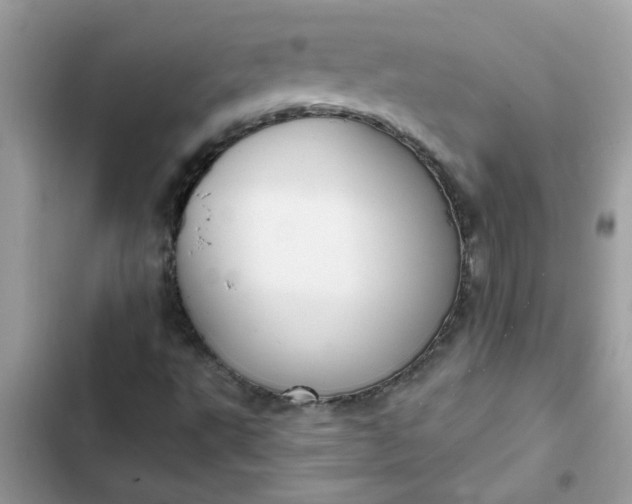 X0000102351495200808151738