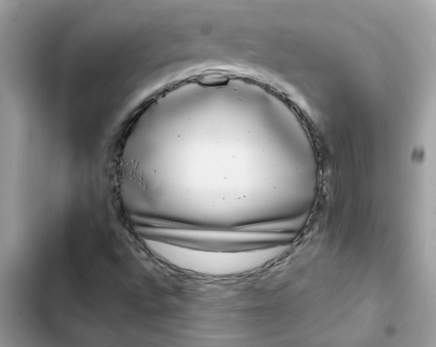 X0000102351496200808151738