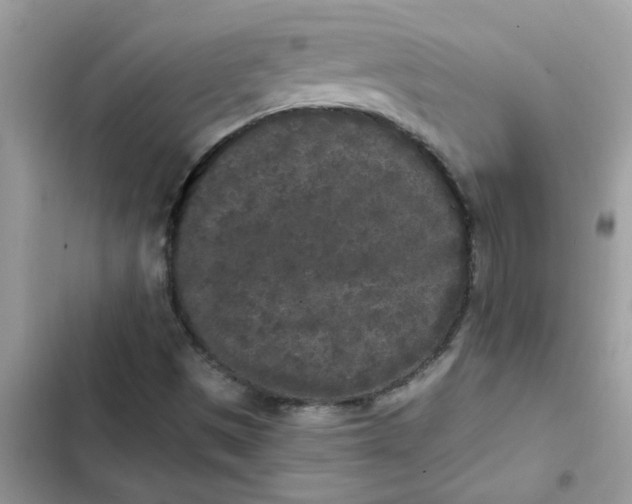 X0000102351497200808151739