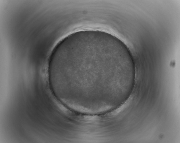 X0000102351498200808151739