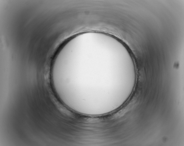 X0000102351499200808151739