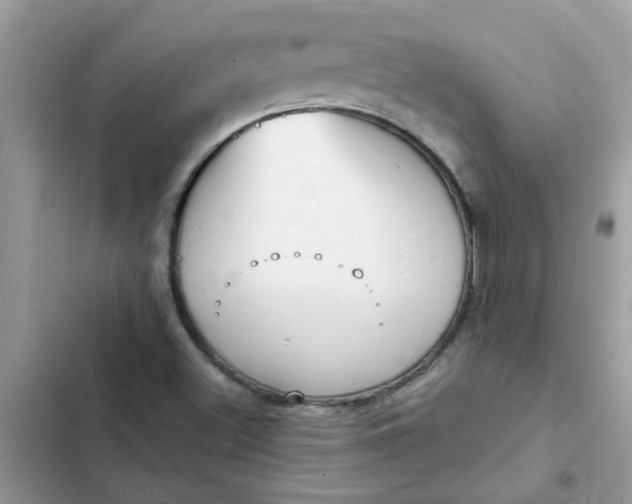 X0000102351500200808151739