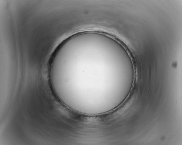 X0000102351501200808151739