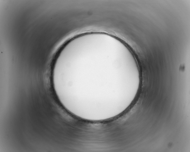 X0000102351502200808151739