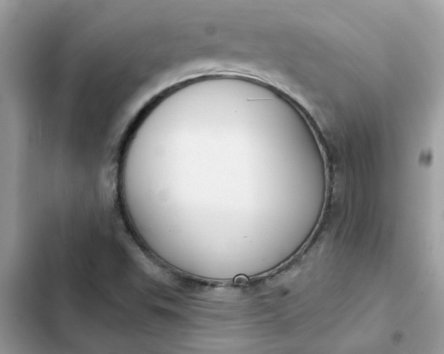 X0000102351503200808151739