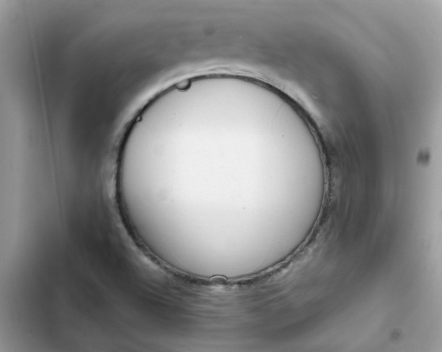 X0000102351504200808151739