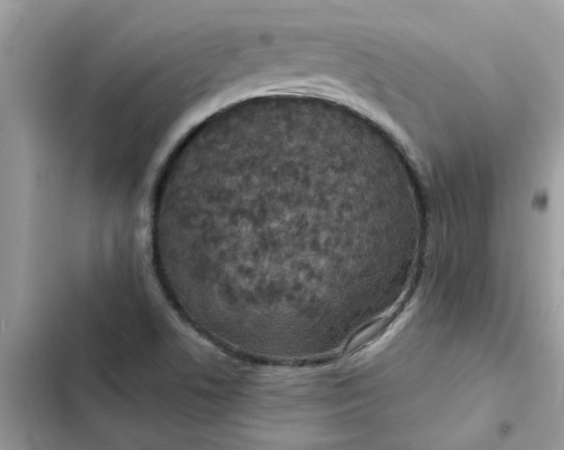 X0000102351506200808151739