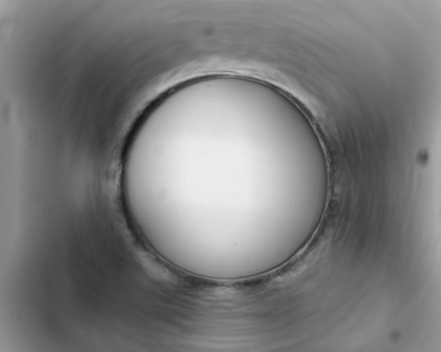 X0000102351507200808151739