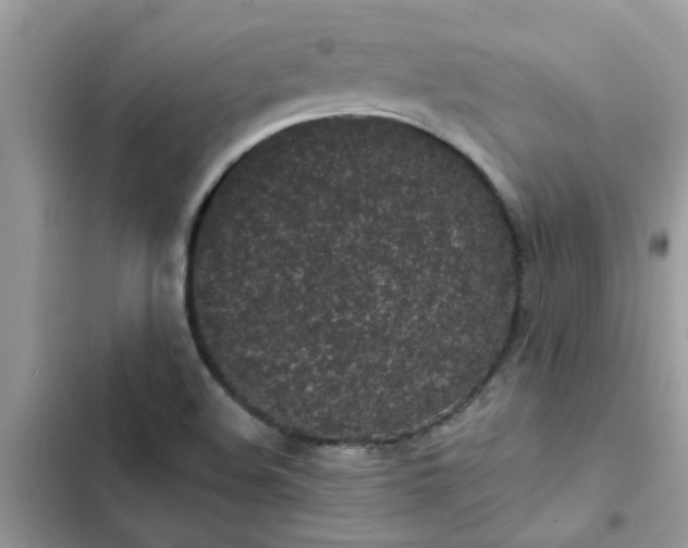 X0000102351508200808151739