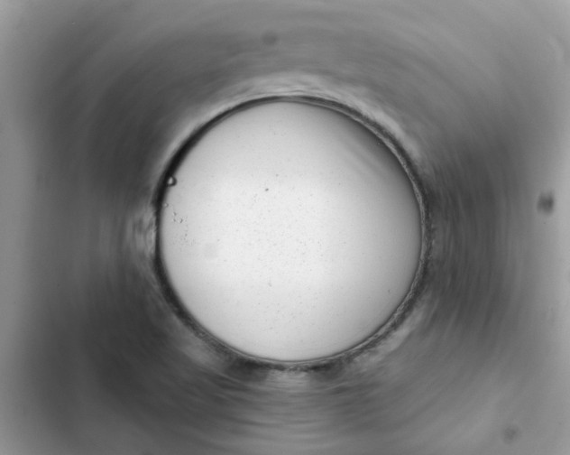 X0000102351509200808151739