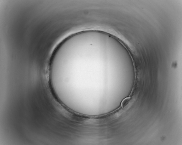 X0000102351510200808151739