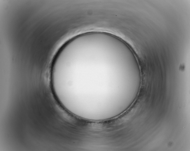 X0000102351511200808151739