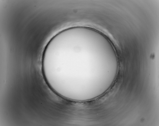 X0000102351512200808151739