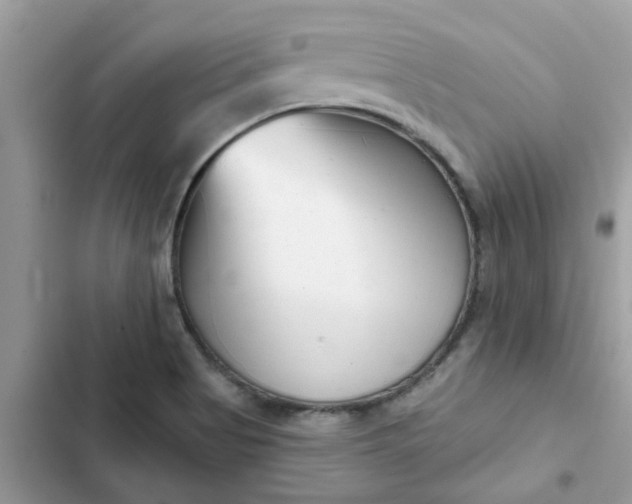 X0000102351513200808151739