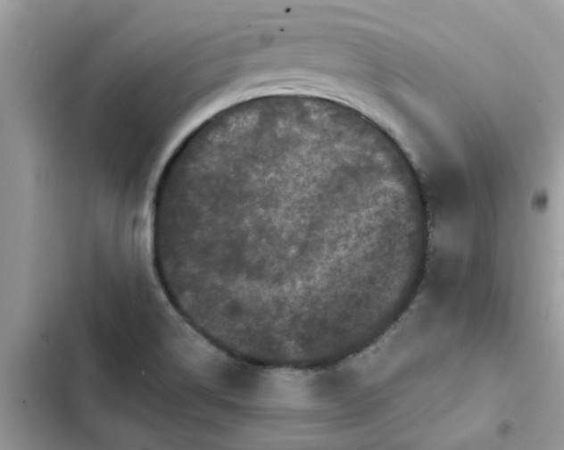 X0000102351514200808151739