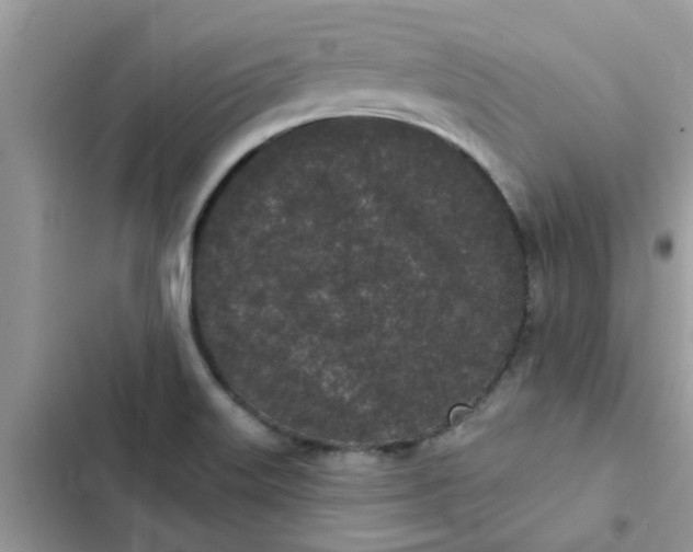 X0000102351515200808151739