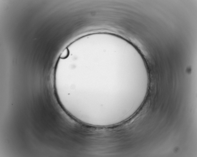 X0000102351516200808151739