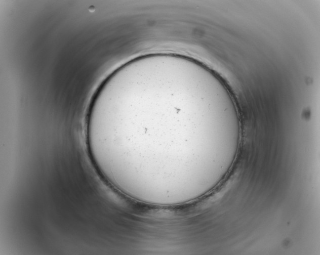 X0000102351517200808151739