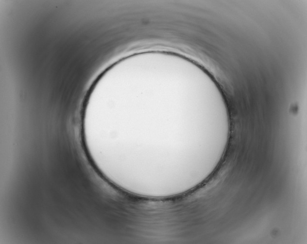 X0000102351518200808151739