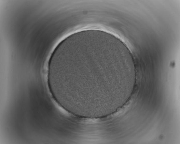 X0000102351519200808151739