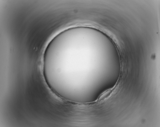 X0000102351520200808151739