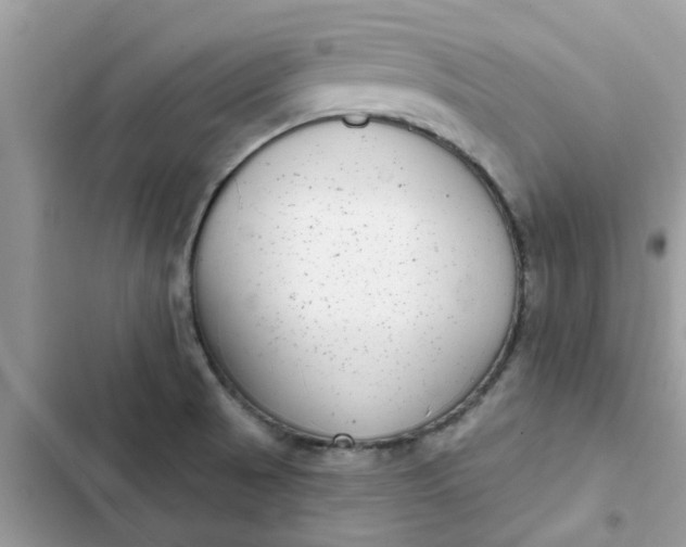 X0000102351521200808151739