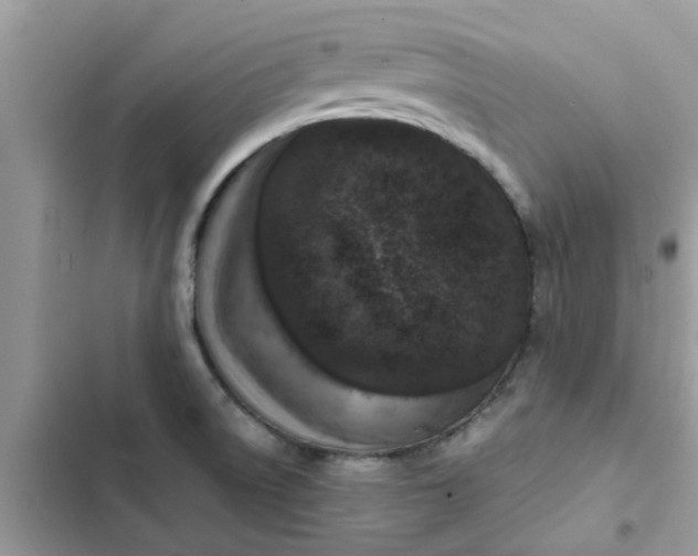 X0000102351522200808151739