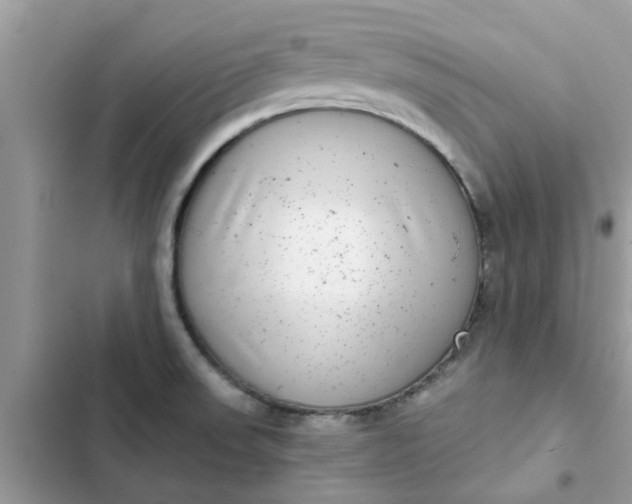 X0000102351523200808151739