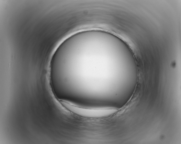 X0000102351524200808151739