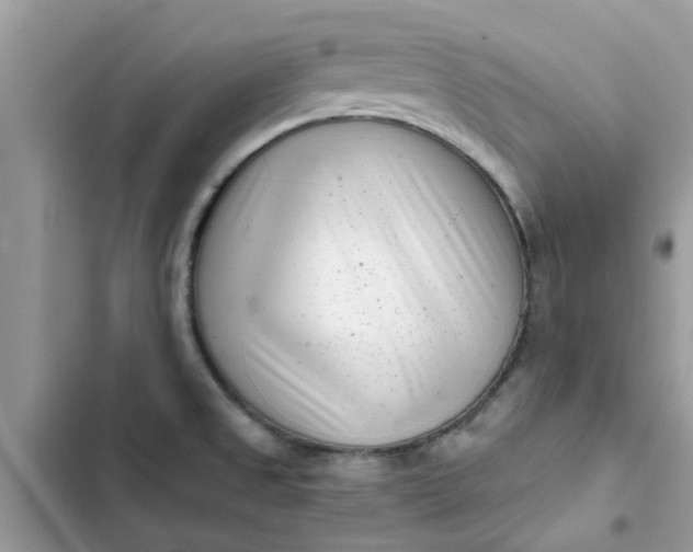 X0000102351525200808151739