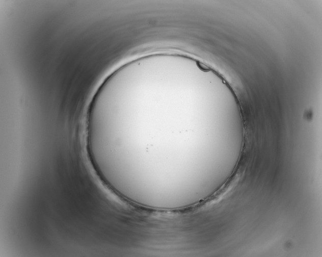 X0000102351526200808151739