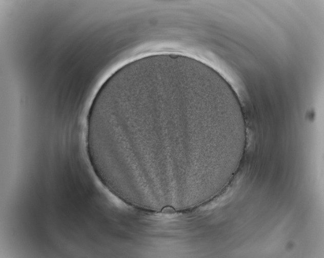 X0000102351527200808151739