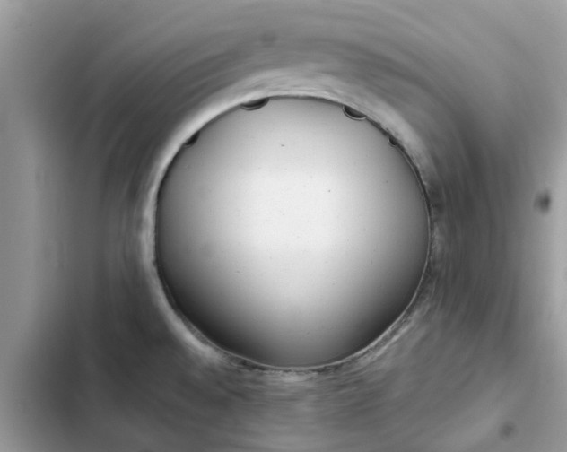 X0000102351528200808151739