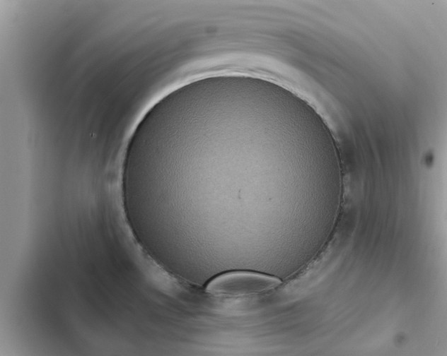 X0000102351530200808151739