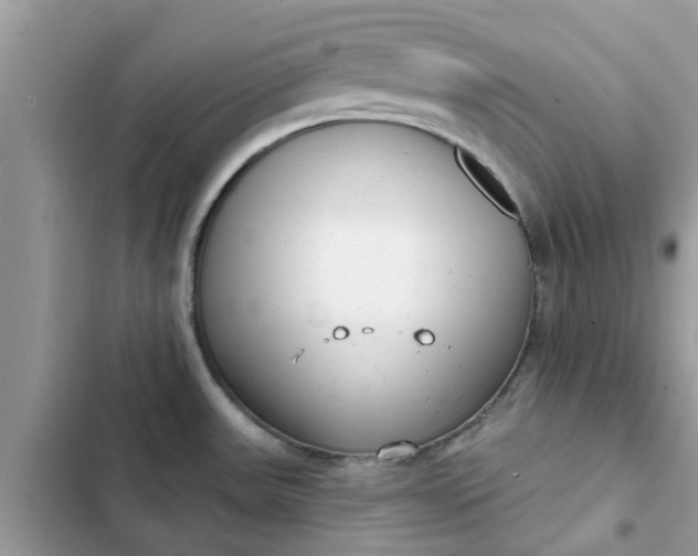 X0000102351531200808151739