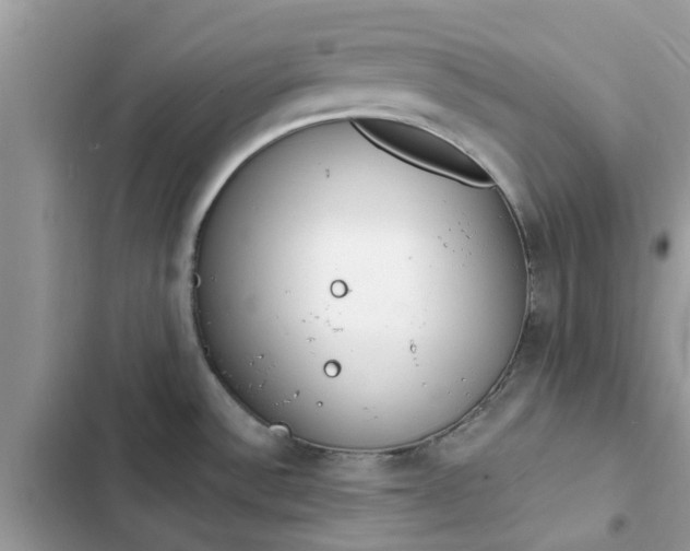 X0000102351532200808151739