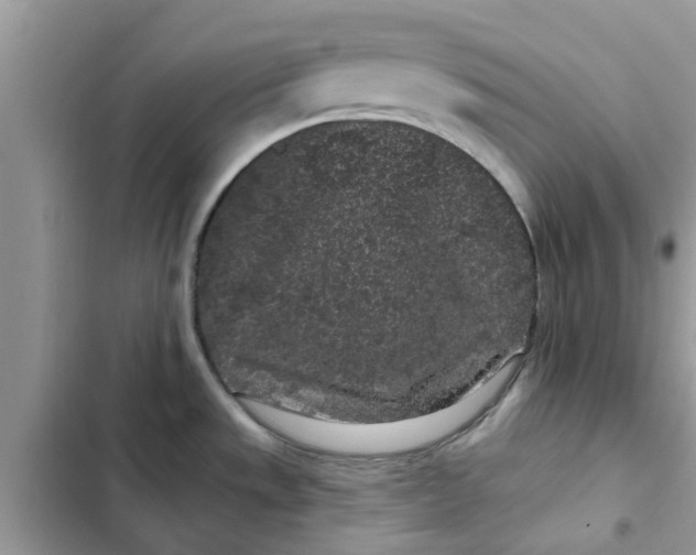 X0000102351533200808151739