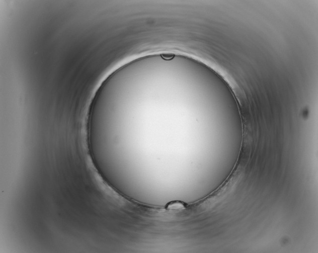 X0000102351534200808151739