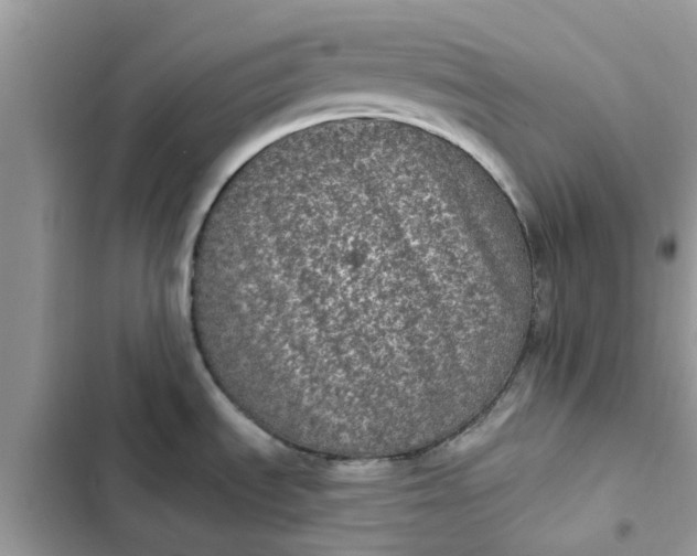 X0000102351535200808151739