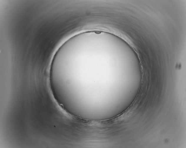 X0000102351536200808151739