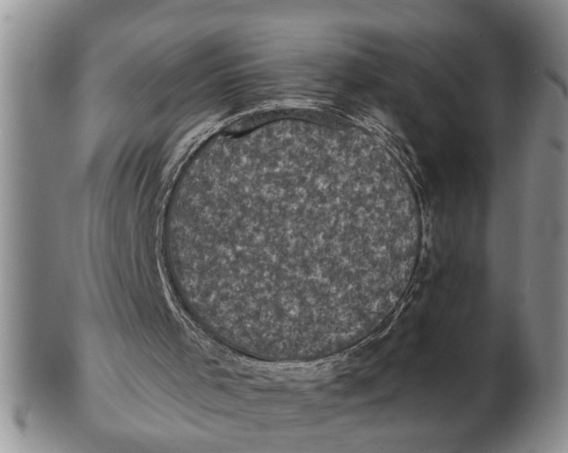 X0000102350001200808221704
