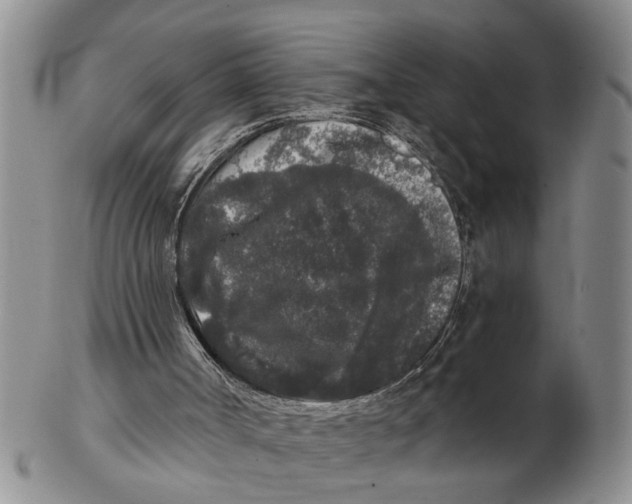 X0000102350002200808221704