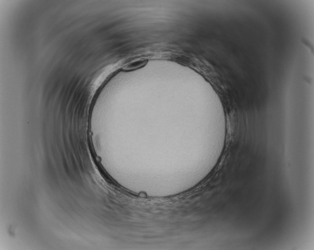 X0000102350003200808221704