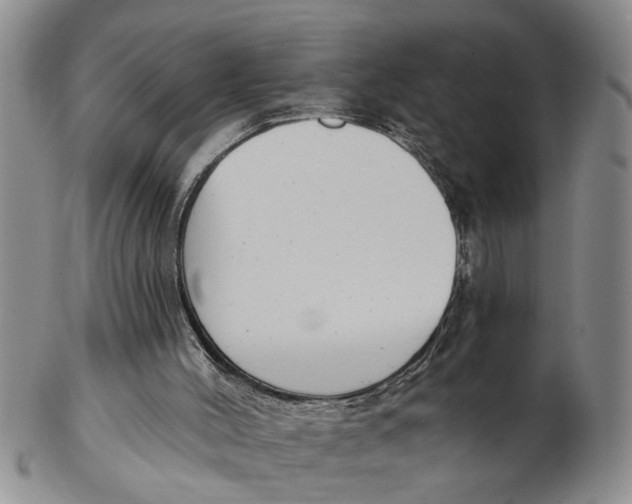 X0000102350004200808221704