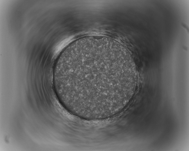 X0000102350005200808221704