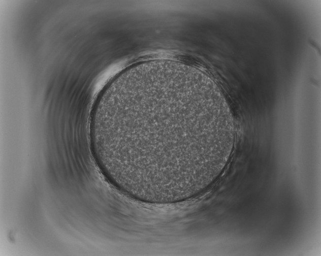 X0000102350006200808221704